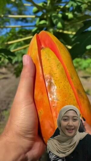 Manfaat macam buah  #infokesehatan  #buahbuahan  #semoga bermanfaat 