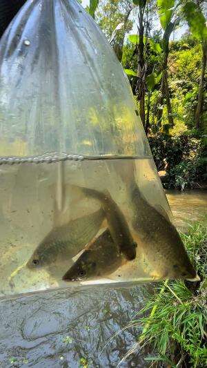 Spot mancing tersembunyi yang dihuni ikan babon