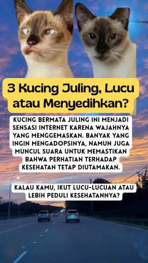 kucing juling  #Kucing #shortsviral #masukberanda #shortvideo