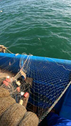 jaring udang #udang #nelayan #laut #jaring #ikan #fbpro #reels #reelsviral #duniaikan #skils #fyp #trending