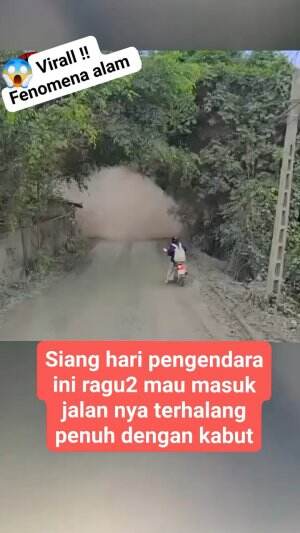wow apa itu