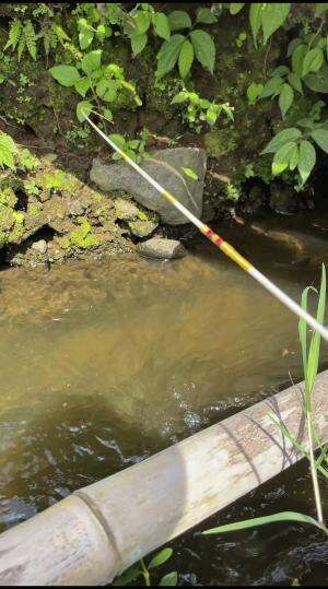 Umpan tergacor seribuan