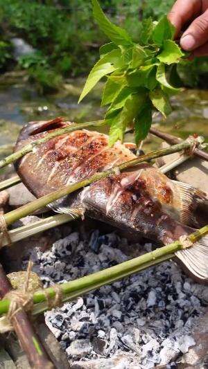 cooking fish by the river  #cooking #survival #short #shortplus 