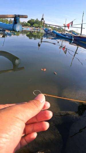 kurang gercep nangkanya #udang #nelayan #laut #jaring #ikan #fbpro #reels #reelsviral #duniaikan #skils #fyp #trending