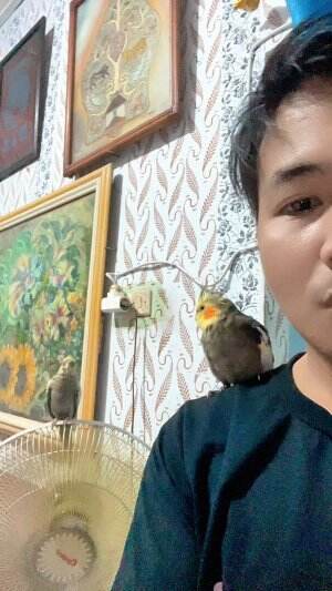 bermain sama burung #burungkicau #terbang seperti burung 