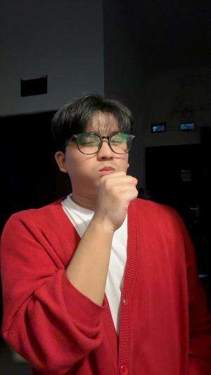 IDOL XIV THIAZ ZIRDAN KOSWARA 26 TAHUN BANDUNG LET IT BE 