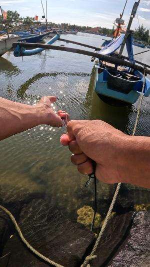 ini bukti alam masih lestari #fishing #traditional #usa #usareels #UnitedStates #unitedkingdom #denmark #canada