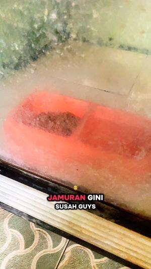 pembersih serbaguna#permbersihserbaguna#fyp