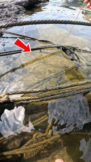 cara orang jaman dulu #udang #nelayan #laut #jaring #ikan #fbpro #reels #reelsviral #duniaikan #skils #fyp #trending