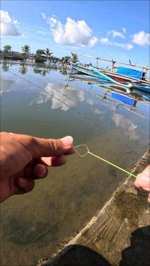 Failed to be arrested🤣 #fishing #shrimp #fish #sea #traditional #usareels #UnitedStates #reelsviral #skils #fyp #trending