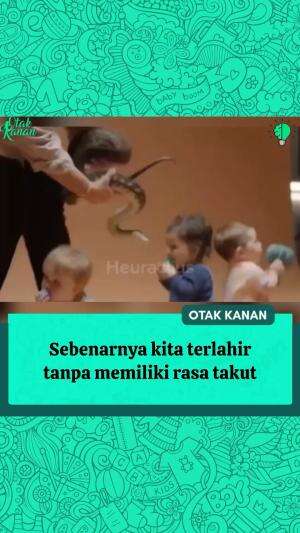 Ketakutan bukanlah sesuatu yang bawaan sejak lahir, melainkan dipelajari melalui pengalaman dan interaksi.
