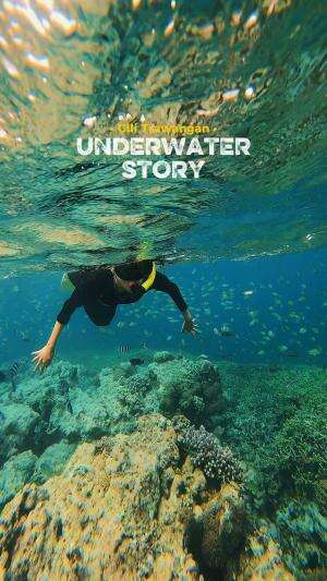 Bawah lautnya Gili Trawangan tuh beneran bikin lupa daratan 😍🐠 #lombok #gilitrawangan #snorkeling #underwater