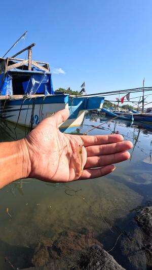 kita coba pancing udang gaess