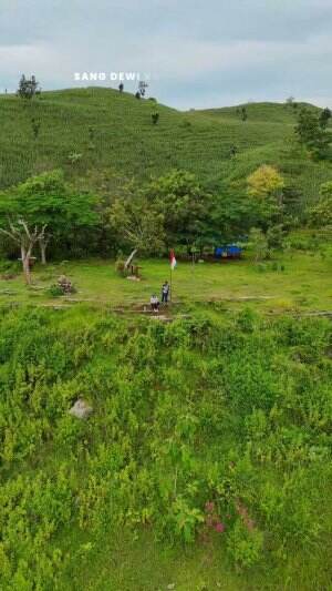 Keindahan negeri atas angin Bojonegoro #drone #dji #djimini4pro #Bojonegoro  #gupyybojonegoro  #jedamergawe  #fyp 