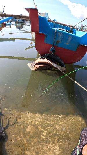 catching shrimp made easy #fishing #shrimp #fish #sea #traditional #usareels #UnitedStates #reelsviral #skils #fyp #trending