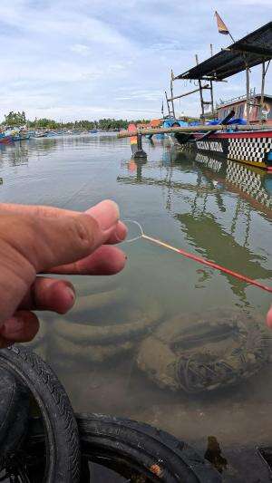 alat tradisional #fishing #shrimp #fish #sea #traditional #usareels #UnitedStates #reelsviral #skils #fyp #trending