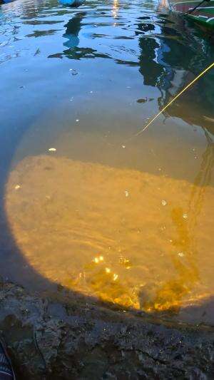 padahal udah dipegang tapi masih bisa loncat 