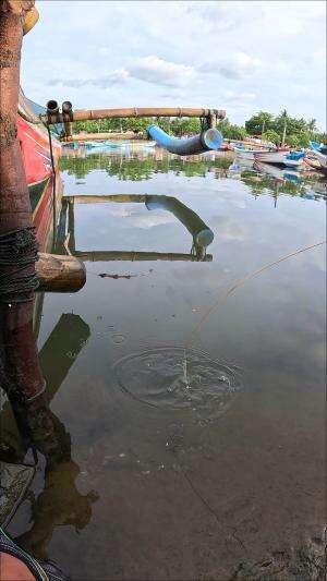 catching shrimp traditionally #fishing #shrimp #traditional #usa #usareels #UnitedStates #unitedkingdom #denmark #canada
