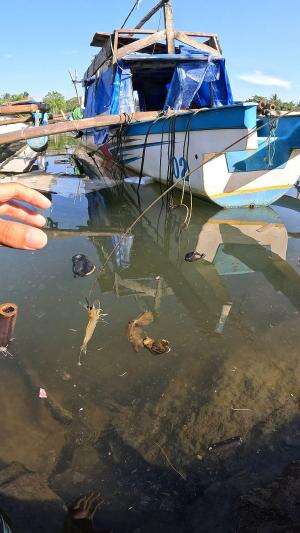 teknik mancing udang tradisional dapet udang gede banget
