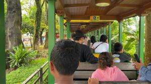 Naik kereta api tut tut tut #fyp  #RCTIPlus  #rcti+