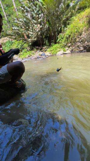 Spot mancing tersembunyi yang mengandung banyak ikan 
