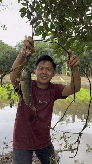 Mancing di sumur orang ikan nya besar-besar