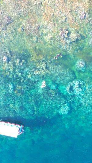 Where have you been… #fyp #HOTrctiplus #RCTIPlus 