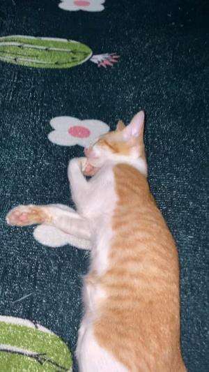 Enak banget tidur nya