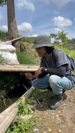 Mancing diparit persawahan ikanya sangat melimpah 