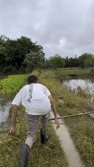 Kerenn sekali angkat banyak dapat ikan