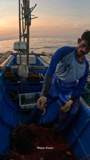 menangkap udang pake jaring