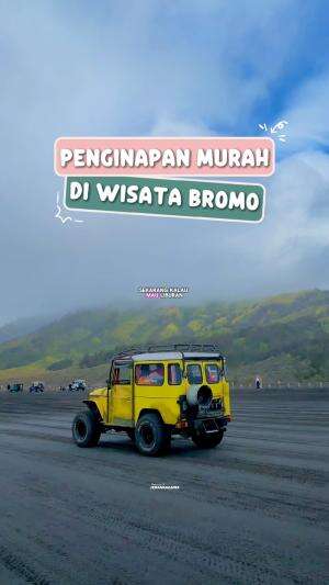  #bromo
