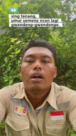Seng tenang umur semene pancen lagi gendeng - gendenge wkwkwk #kuli #kuliviral #kulilucu #kulikocak #kuliproyek #kulibangunan #kerja #kerjak