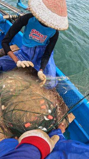 sekali tarik dapet banyak #nelayan #skills #fyp