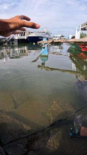 waduh lepas #mancing #fishing #shrimp #udang #nelayan #laut #jaring #ikan #reelsviral #animals #skill #fyp #trending