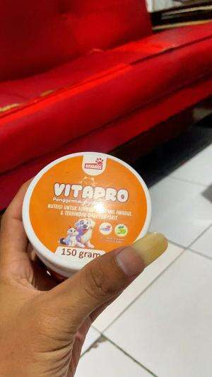 vitapro pengemuk kucing #vitapro#fyp