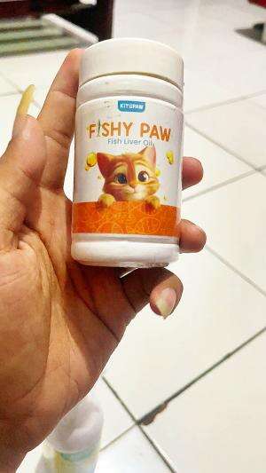 minyak ikan kucing #minyakilankucing#fyp