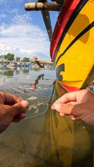 ditarik melengkung #mancing #fishing #shrimp #udang #nelayan #laut #jaring #ikan #reelsviral #animals #skill #fyp #trending