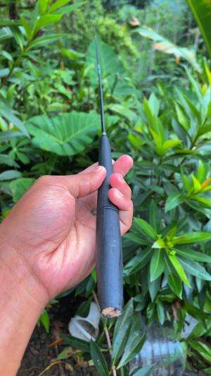 Joran super lentur target ikan kecil