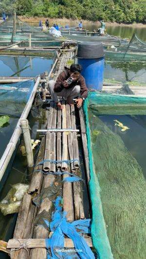Mancing di sela-sela bambu keramba. 