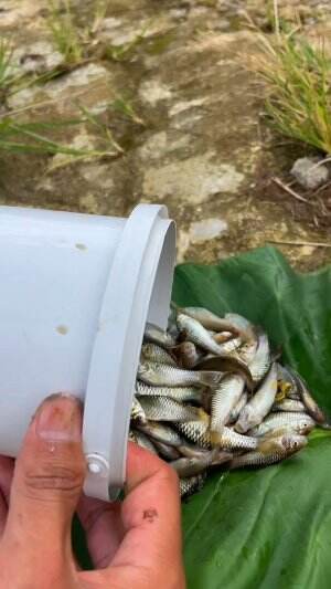 Pedesaan indah yang ikannya masih melimpah