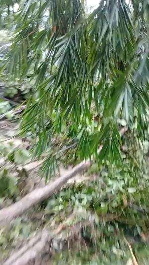 Longsor jalan medan berastagi lumpuh total