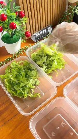 NYERAH SAMA DAGING, AKHIRNYA MINTA SALAD SAYUR..ETT BISA JADI IDE JUALAN NIH