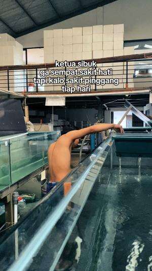 kerjaaa duluu gk sii #LaguViral 