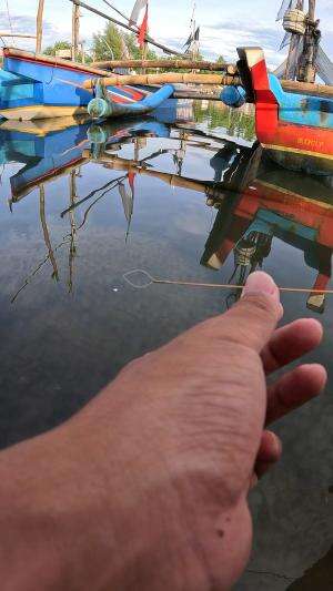 nyobain pake cara tradisional buat nangkap udang ??