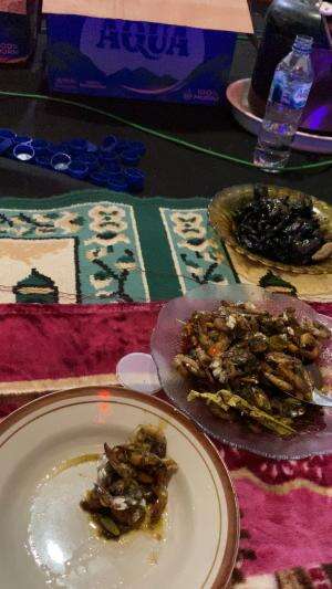 Makan makan saur