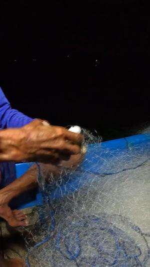 wih double belanak #mancing #fishing #shrimp #udang #nelayan #laut #jaring #ikan #reelsviral #animals #skill #fyp #trending