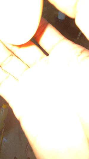 Sup Sayur Kaldu Ayam