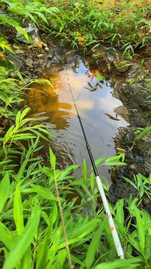Mancing ikan chnana digenanagan air jernih
