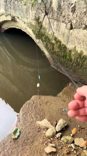 Mancing lele paling kurus disungai